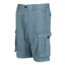Regatta Shorebay Shorts