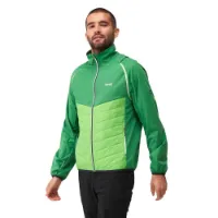 Regatta Steren Hybrid Softshelljakke Regatta Steren Hybrid Softshelljakke
