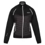 Regatta Steren Hybrid Softshelljakke