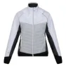 Regatta Steren Hybrid Softshelljakke