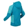 Regatta Tarvos Iv Softshelljakke