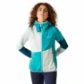 Regatta Tarvos Vi Softshelljakke