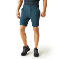 Regatta Travel Light Shorts