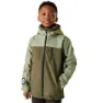Olive night / oil green