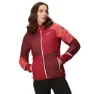 Regatta Trutton Ii Jakke