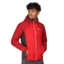 China red / dark red