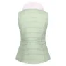 Regatta Walless Vest