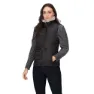 Regatta Walless Vest