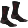 Regatta Wool Hiker Sokker 2 Par