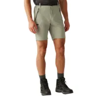Regatta Xert Stretch Iii Shorts Regatta Xert Stretch Iii Shorts