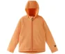 Orange peach 2
