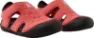 Misty red