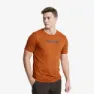 Terracotta Brown