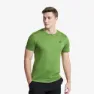 Cactus Green