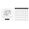 Ridley Falcn Uitegra Di2 2025 Landeveissykkel, Ud carbon / aqualand cameleon / silver