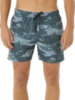 Rip Curl Men's Dreamers Volley