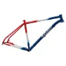 Ritchey P-29er Mtb-ramme