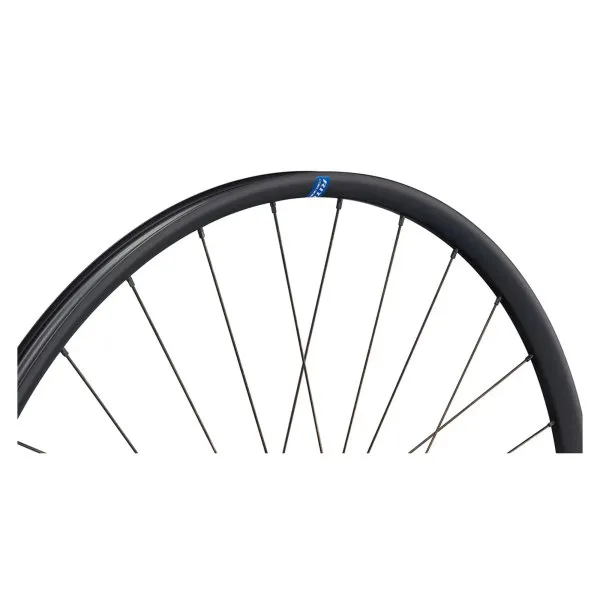Ritchey Wcs Zeta Gx Cl Disc Tubeless Landeveissykkelens Bakhjul