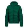 3033 abundant green / 0208 caviar
