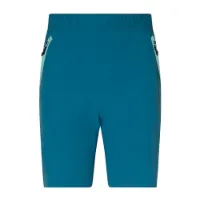Rock Experience Powell 2.0 Shorts