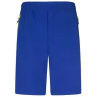 Rock Experience Powell 2.0 Shorts