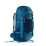 Navy peony / cendre blue