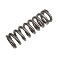 Rock Shox 450lb Støtdemperfjær
