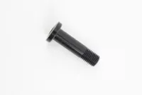 Rocky Mountain Drop Out bolt M8x1 L: 30, 6mm hex Rocky Mountain Drop Out bolt M8x1 L: 30, 6mm hex