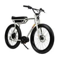 Ruff Cycles Biggie Elektrisk Sykkel Ruff Cycles Biggie Elektrisk Sykkel