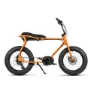 Ruff Cycles Lil Buddy E1972 Bosch Pl Cx Elektrisk Sykkel, Tango orange, One Size, 500Wh, Elsykkel