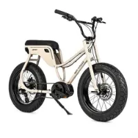 Ruff Cycles Lil Missy E1978 Bosch Pl Cx Elektrisk Sykkel