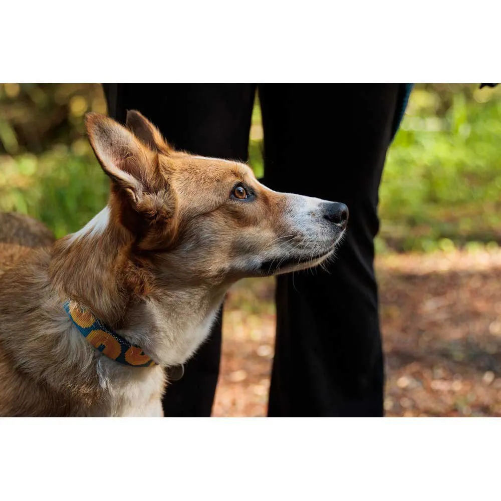 Ruffwear Crag™ Hundehalsbånd