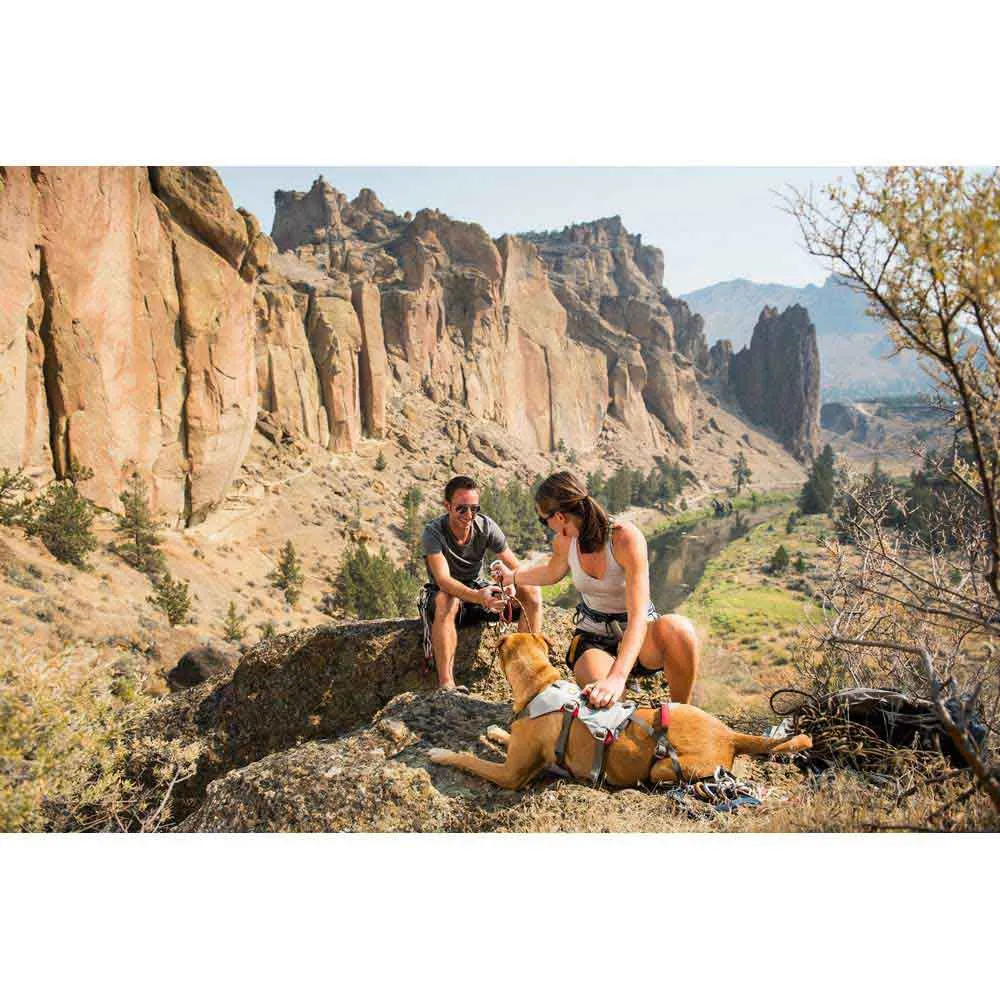 Ruffwear Double Back Hundesele Ruffwear Double Back Hundesele