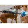 Ruffwear Double Track™ Coupler Hundebånd, Basalt gray, One Size
