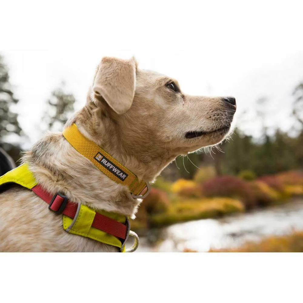 Ruffwear Hi & Light™ Hundehalsbånd