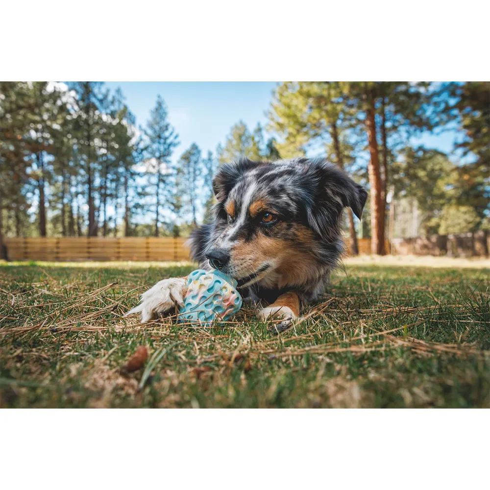 Ruffwear Morel™ Bitering