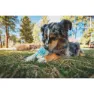 Ruffwear Morel™ Bitering
