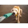 Ruffwear Pacific Loop™ Hundleke, Aurora teal, One Size