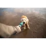 Ruffwear Pacific Loop™ Hundleke, Aurora teal, One Size