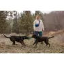 Ruffwear Pacific Ring™ Hundleke, Aurora teal, One Size