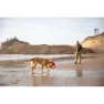 Ruffwear Pacific Ring Hundleke, Sockeye red, One Size