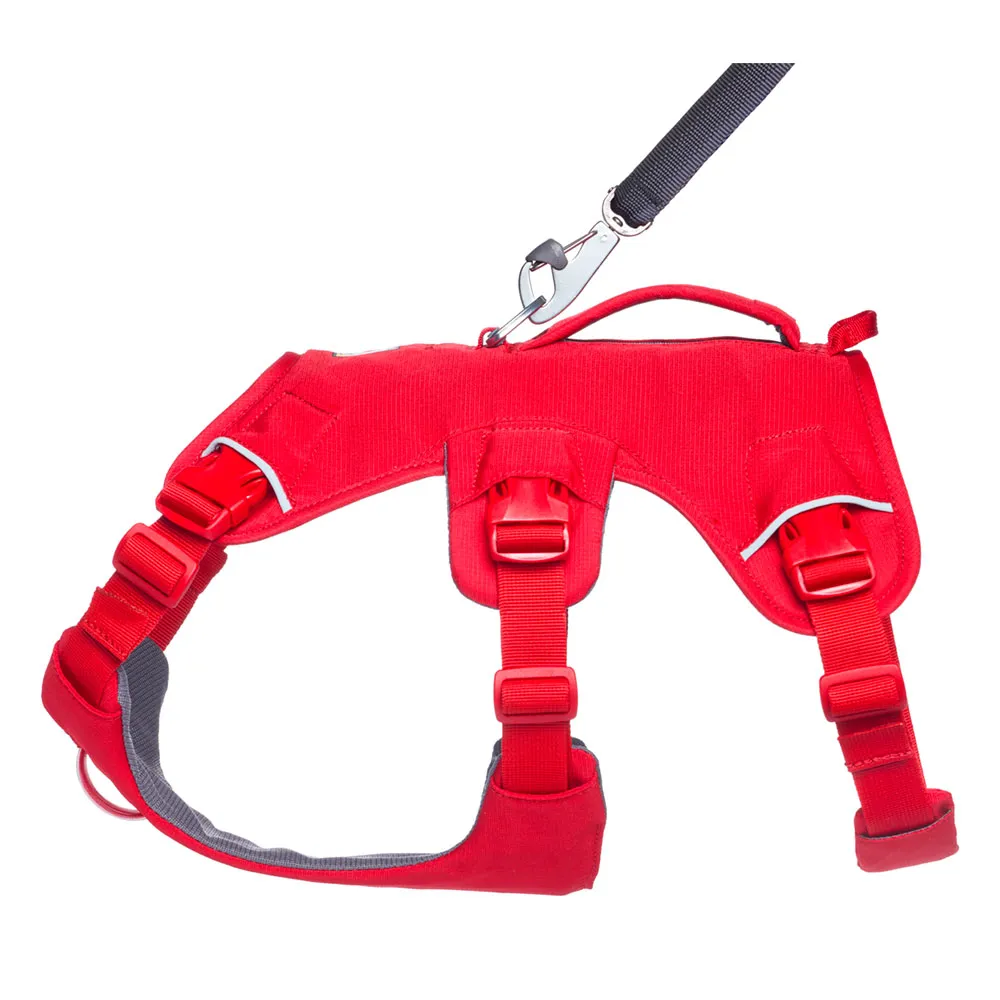 Ruffwear Web Master™ Hundesele