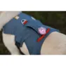 Ruffwear Web Master Hundesele
