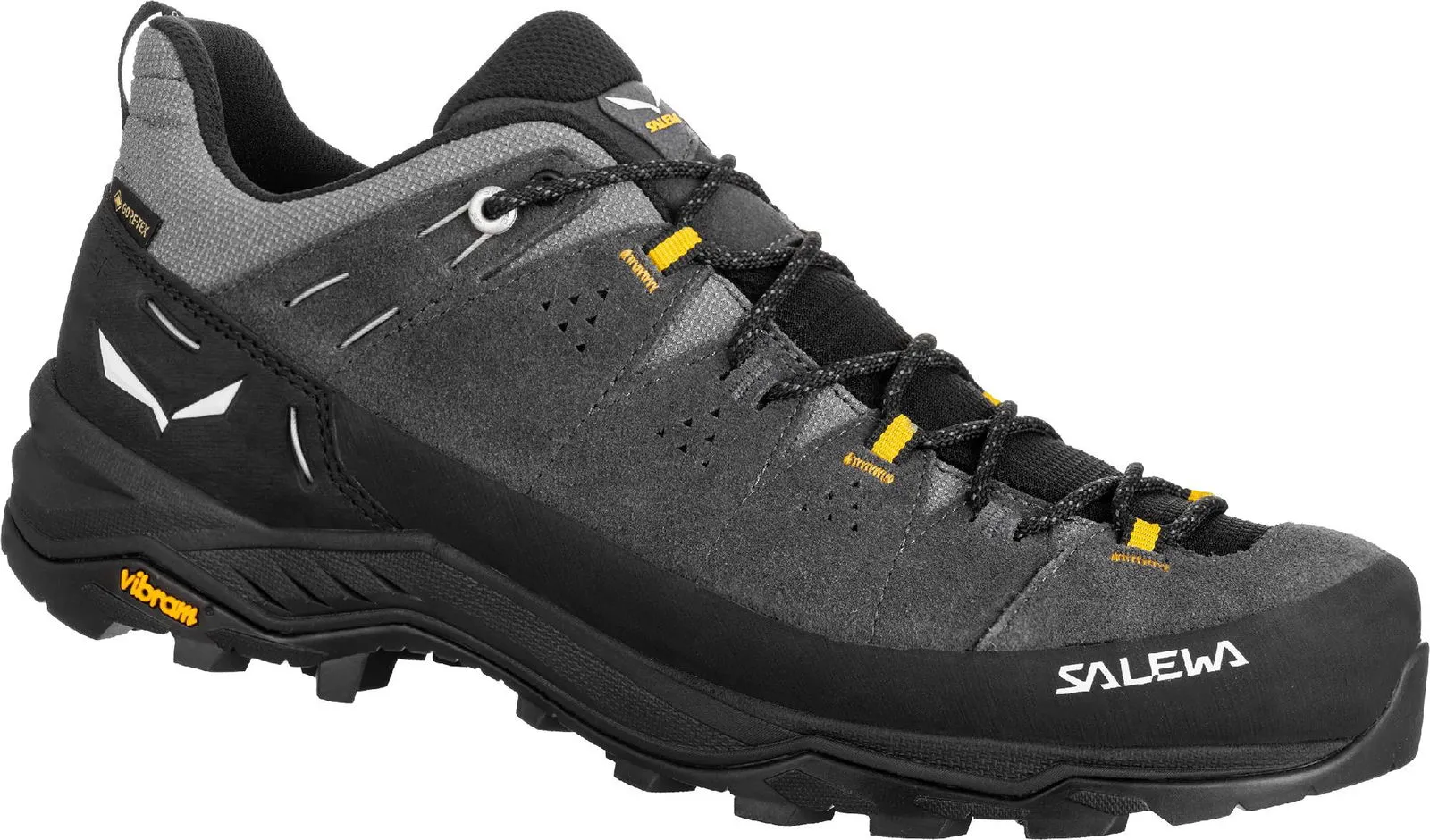 Salewa Alp Trainer 2 GTX