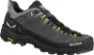 Salewa Alp Trainer 2 GTX