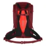 Salewa Alp Trainer 20l Dame Ryggsekk