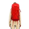 Salewa Alptreck 38+5l Ryggsekk, Pompeian red / syrah