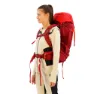Salewa Alptreck 38+5l Ryggsekk, Pompeian red / syrah