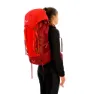 Salewa Alptreck 50+10l Ryggsekk, Pompeian red / syrah