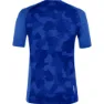 Salewa Cristallo Warm Alpine Merino Responsive Kortærmet Baselayer